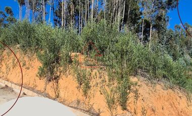 LOTEO EN VENTA, NONGUÉN - CONCEPCIÓN