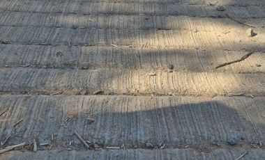 LOTEO EN VENTA, NONGUÉN - CONCEPCIÓN