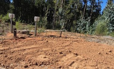 LOTEO EN VENTA, NONGUÉN - CONCEPCIÓN