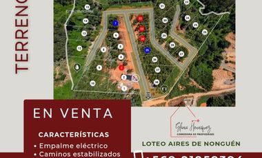 LOTEO EN VENTA, NONGUÉN - CONCEPCIÓN