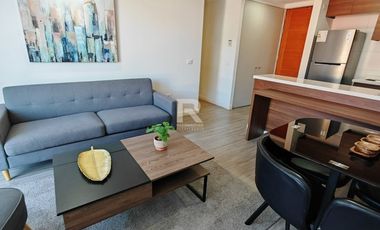 DEPARTAMENTO AMOBLADO, 2D Y 1 B, EN PLAZA SCHWERTER