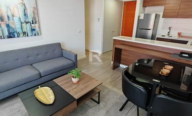 DEPARTAMENTO AMOBLADO, 2D Y 1 B, EN PLAZA SCHWERTER