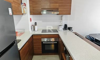 DEPARTAMENTO AMOBLADO, 2D Y 1 B, EN PLAZA SCHWERTER