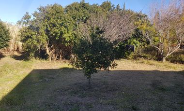 La Lomita