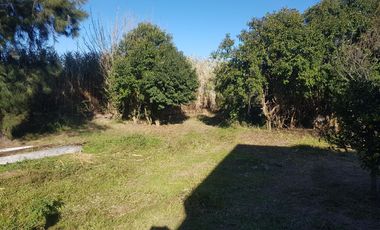La Lomita