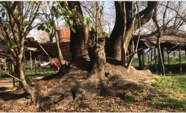 Terreno en  venta en Pilar, Derqui
