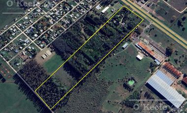 Chacra en venta 8,5 has Brandsen sobre Ruta 2 - Ideal Proyecto Inmobiliario