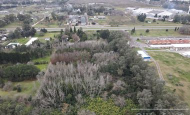 Chacra en venta 8,5 has Brandsen sobre Ruta 2 - Ideal Proyecto Inmobiliario