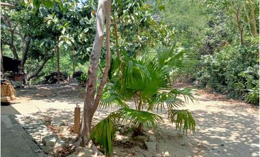 lote con casa de madera