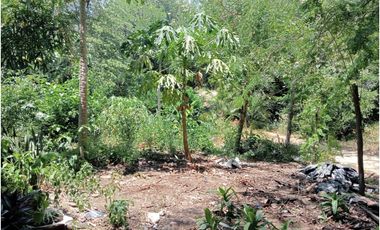 lote dentro de finca bonsa