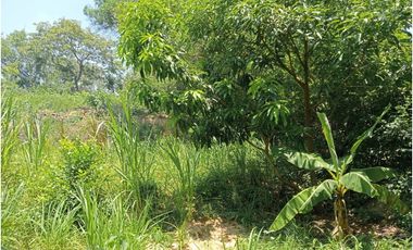 lote dentro de finca bonsa