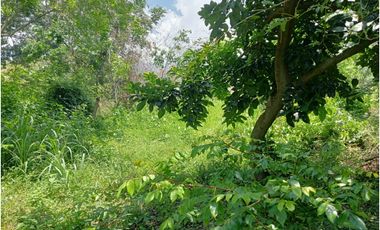 lote dentro de finca bonsa