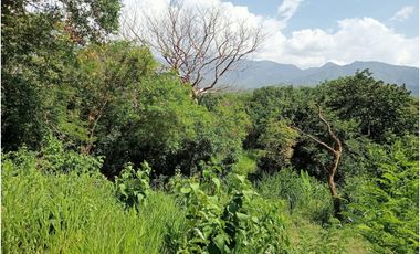 lote dentro de finca bonsa