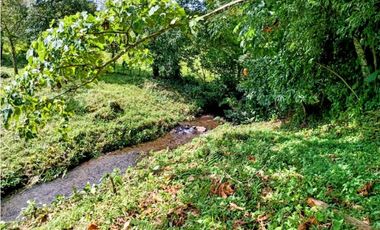 Se vende hermosa finca de 4.2 hectáreas en Meseta, Boquerón