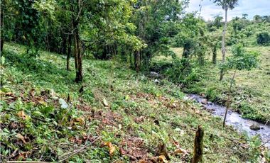 Se vende hermosa finca de 4.2 hectáreas en Meseta, Boquerón