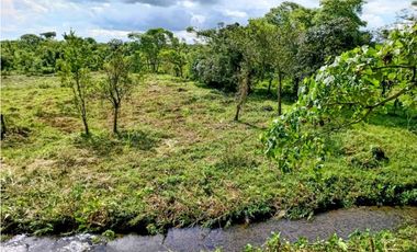 Se vende hermosa finca de 4.2 hectáreas en Meseta, Boquerón