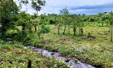 Se vende hermosa finca de 4.2 hectáreas en Meseta, Boquerón