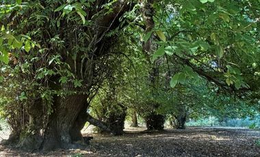 Parcela en venta  en HUALQUI