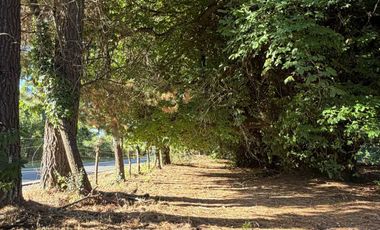 Parcela en venta  en HUALQUI