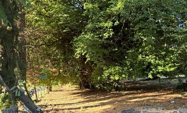 Parcela en venta  en HUALQUI