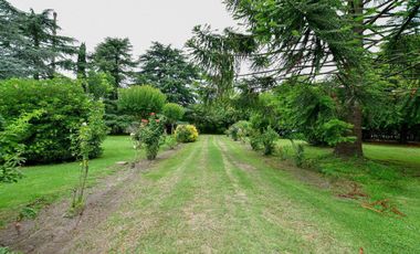 Casa quinta c/ pileta cancha futbol parquizada