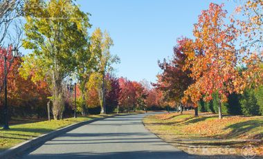 Casa en venta de cuatro ambientes en Abril Country Club - Guillermo Hudson
