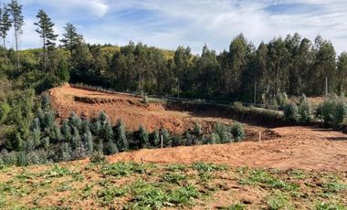 Sitio en Venta en LOMAS DE MILLAHUE