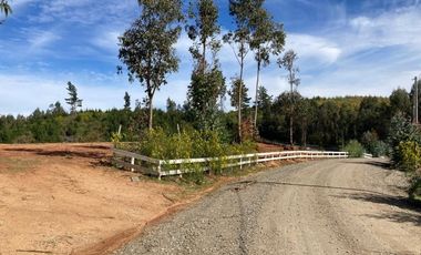 Sitio en Venta en LOMAS DE MILLAHUE
