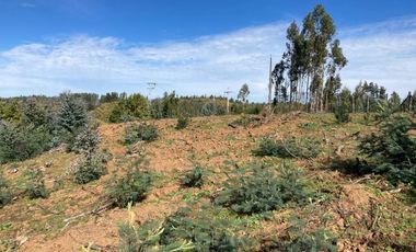 Sitio en Venta en LOMAS DE MILLAHUE