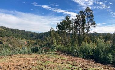 Sitio en Venta en LOMAS DE MILLAHUE
