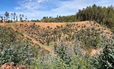 Sitio en Venta en LOMAS DE MILLAHUE