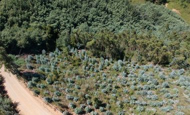 Sitio en Venta en LOMAS DE MILLAHUE