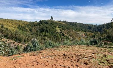 Sitio en Venta en LOMAS DE MILLAHUE