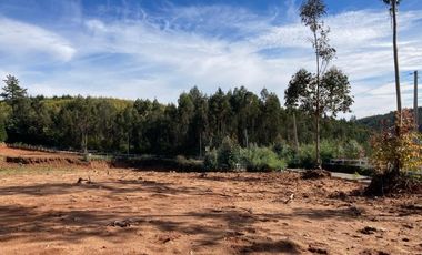 Parcela en Venta en LOMAS DE MILLAHUE