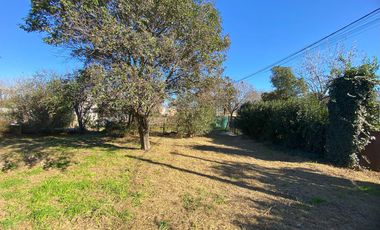 Terreno en  Dorila