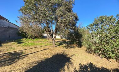 Terreno en  Dorila