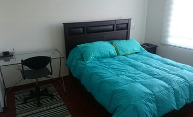 Arriendo departamento amoblado 1D1B Borde Rio