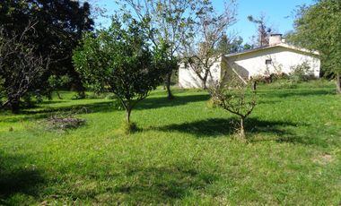 A orillas del Carcarañá. Hermosa Casa-Quinta con Piscina y Amplio Terreno.