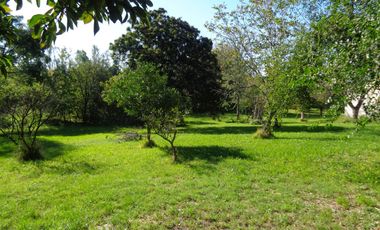A orillas del Carcarañá. Hermosa Casa-Quinta con Piscina y Amplio Terreno.