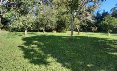 A orillas del Carcarañá. Hermosa Casa-Quinta con Piscina y Amplio Terreno.