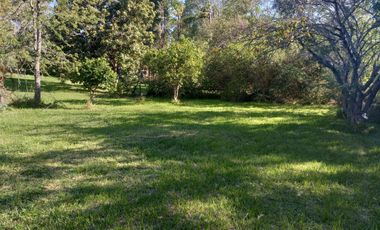 A orillas del Carcarañá. Hermosa Casa-Quinta con Piscina y Amplio Terreno.