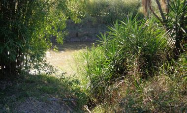 A orillas del Carcarañá. Hermosa Casa-Quinta con Piscina y Amplio Terreno.