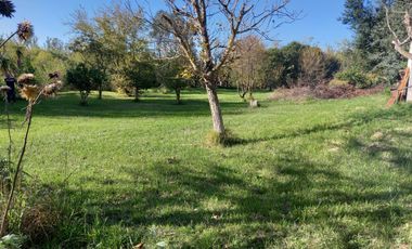 A orillas del Carcarañá. Hermosa Casa-Quinta con Piscina y Amplio Terreno.