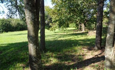 A orillas del Carcarañá. Hermosa Casa-Quinta con Piscina y Amplio Terreno.