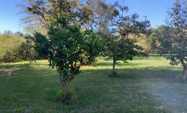 A orillas del Carcarañá. Hermosa Casa-Quinta con Piscina y Amplio Terreno.