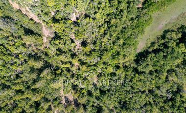 Precioso Campo Precordillerano a solo 30 Km de San Fernando