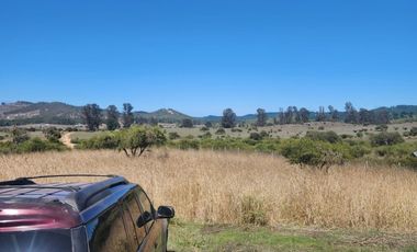 LLICO - BOYERUCA  COMUNA DE VICHUQUEN