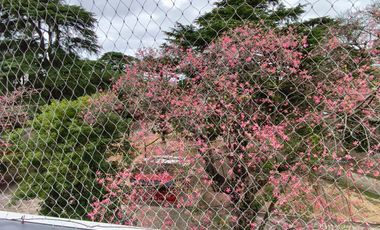 Departamento - Gualeguaychu