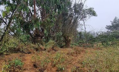 Venta lote Los Pinos -Reñaca