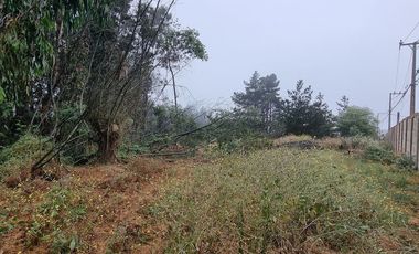Venta lote Los Pinos -Reñaca